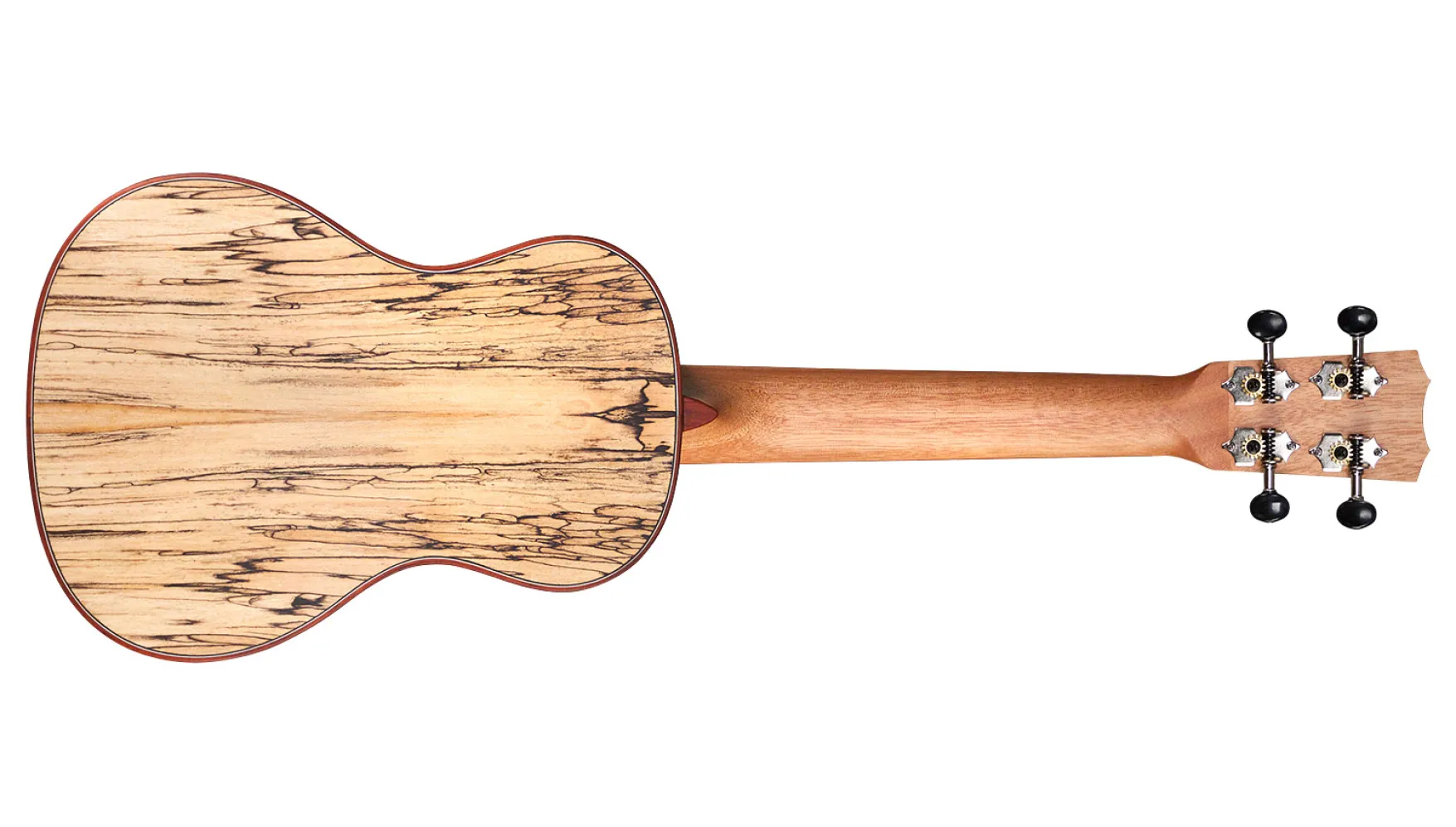 その他 CUCKOO 24C Spruce - Cordoba Guitars